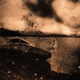 Illustration for article titled Eerie photographs taken with a camera made from a human skull